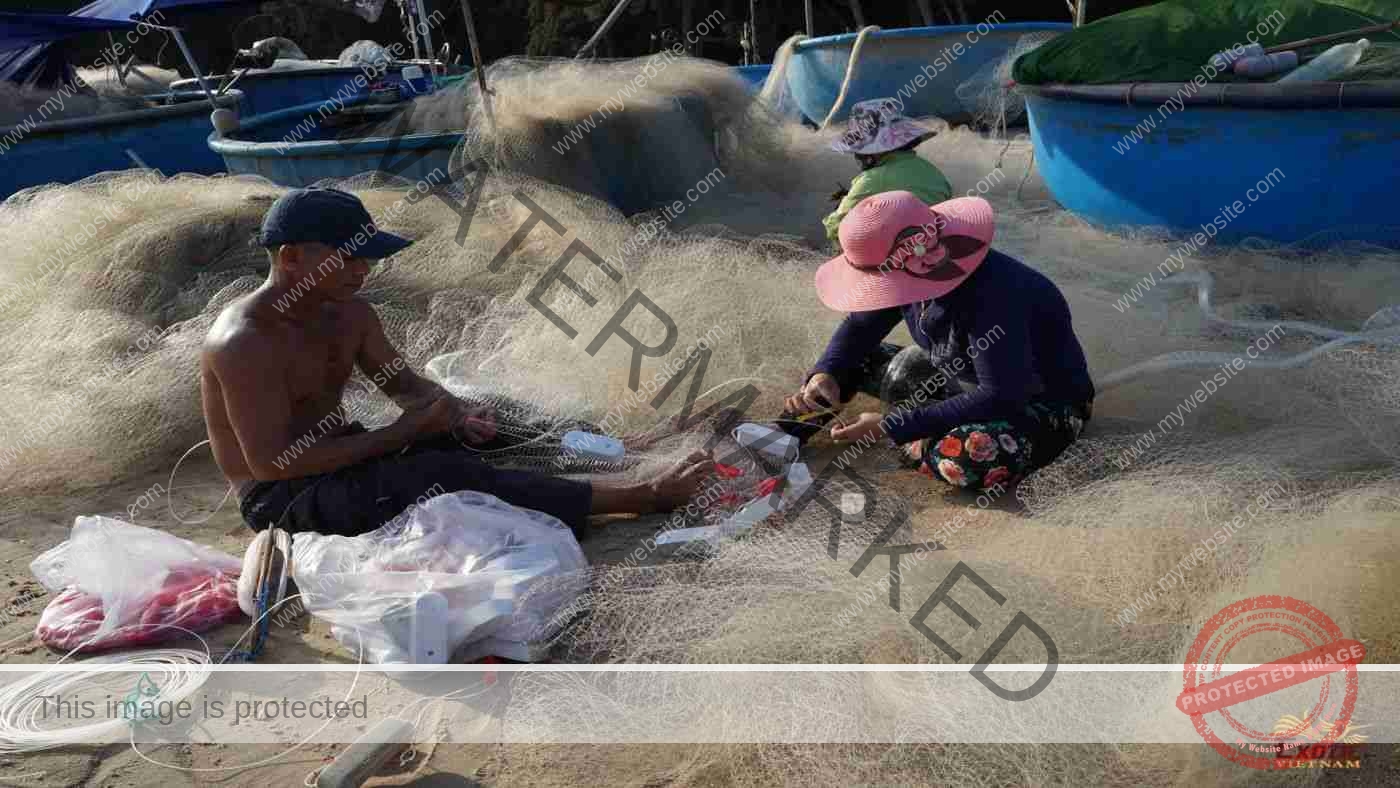 Top 5 hoạt động Team Building tại Phú Yên