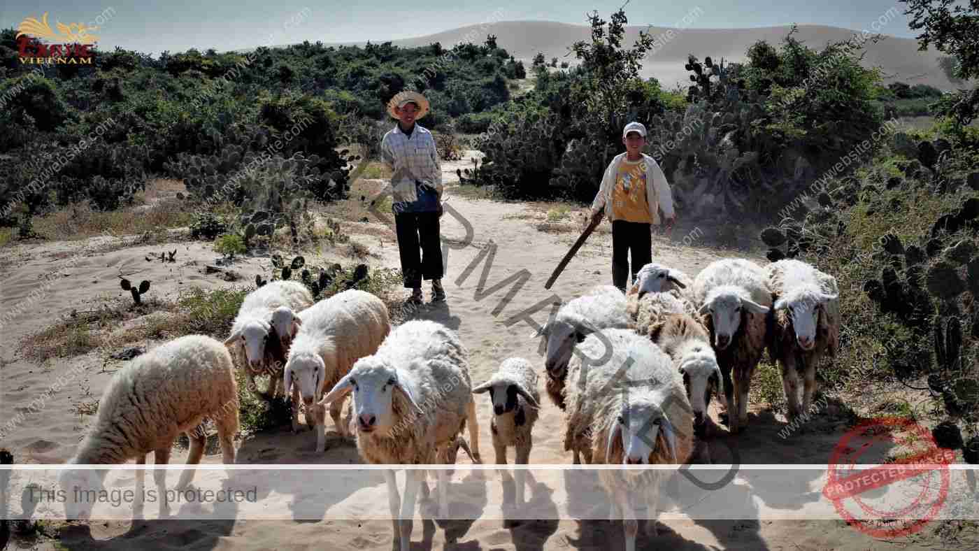 Team Building tại Phan Rang