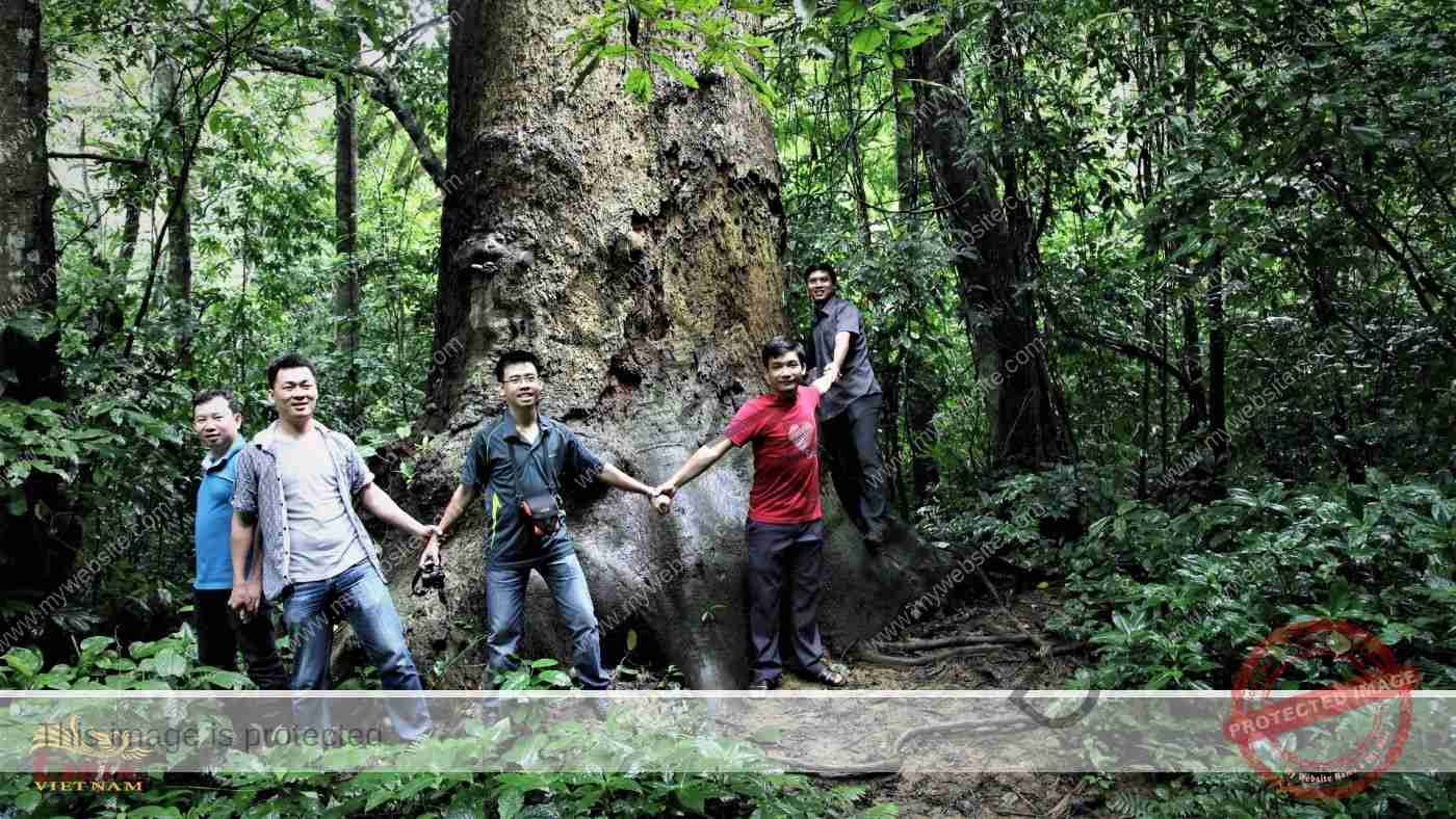 Team Building in Ninh Binh