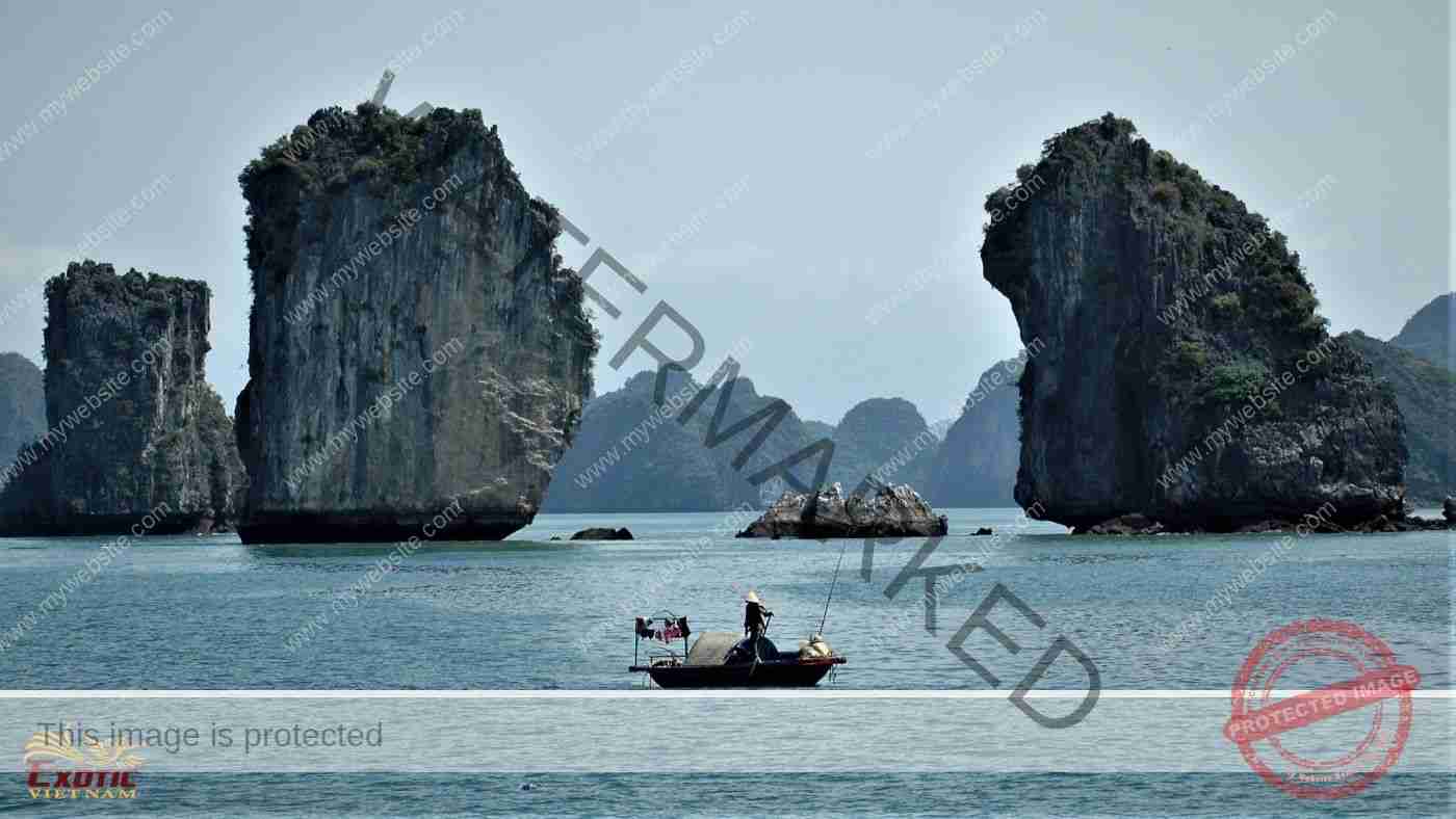 Team Building in Ha Long