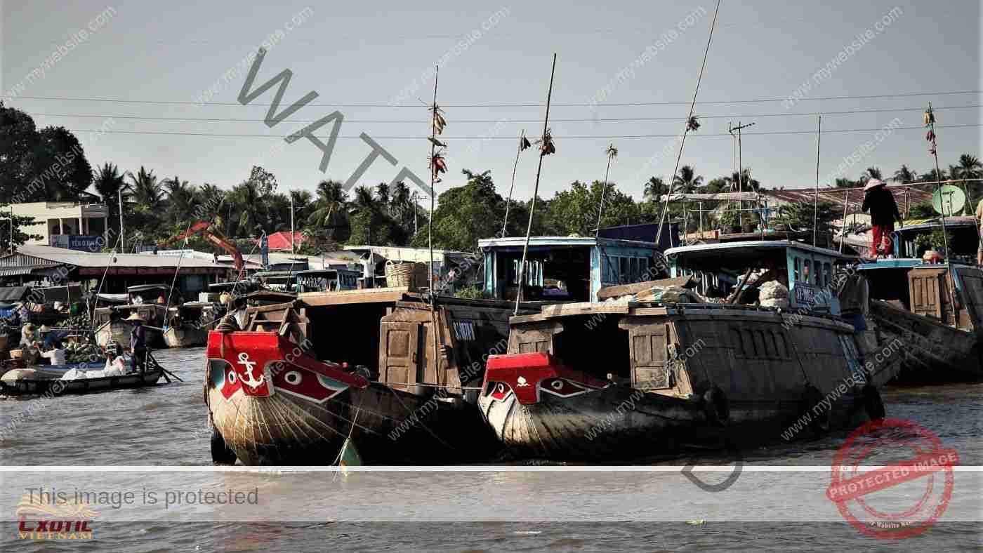 Team Building in The Mekong Delta