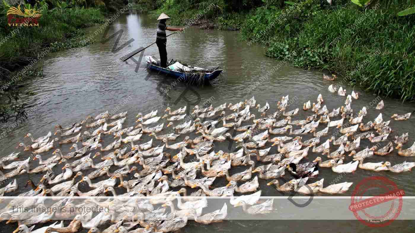 Team Building in The Mekong Delta