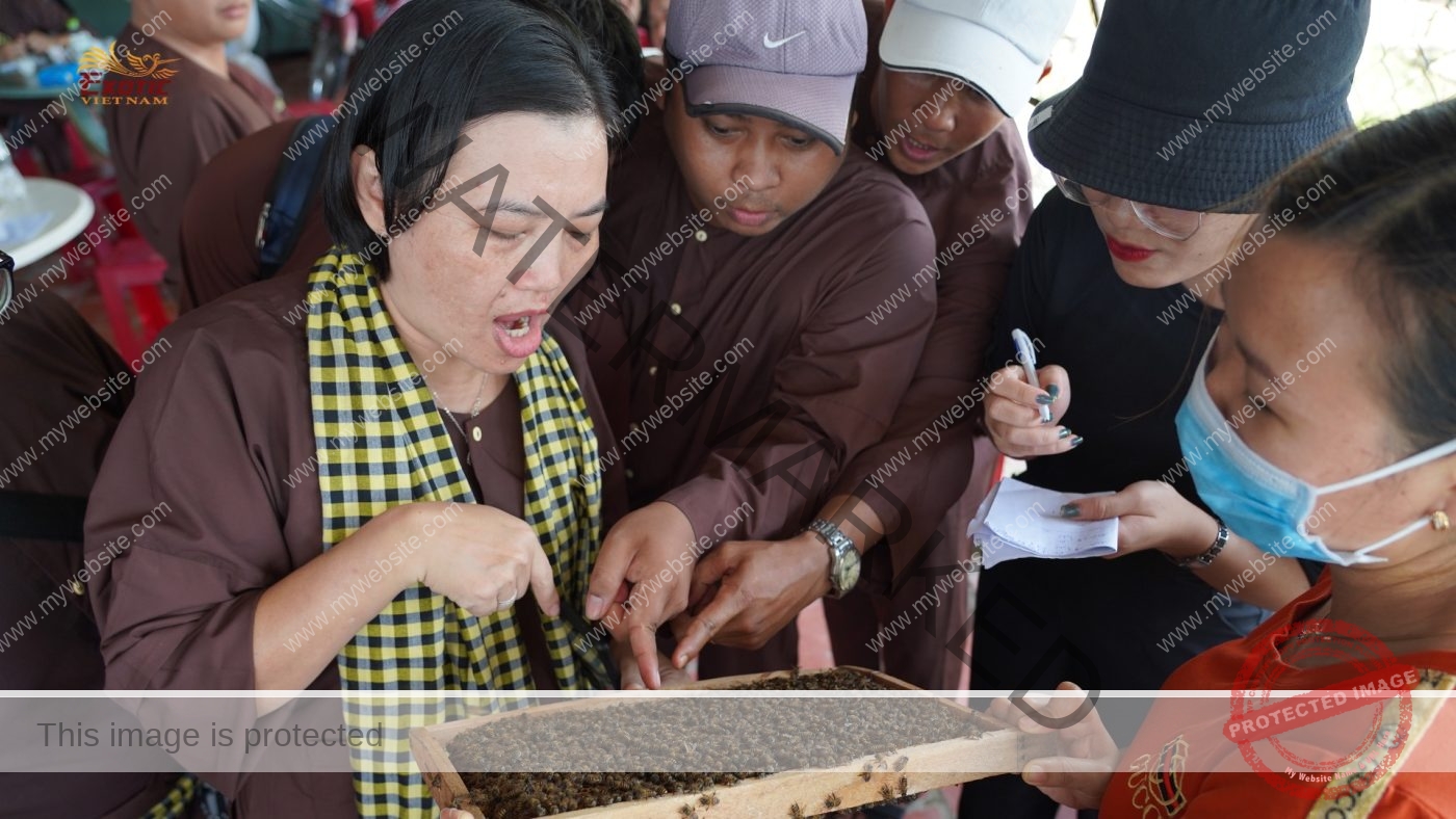 Team Building Độc Đáo