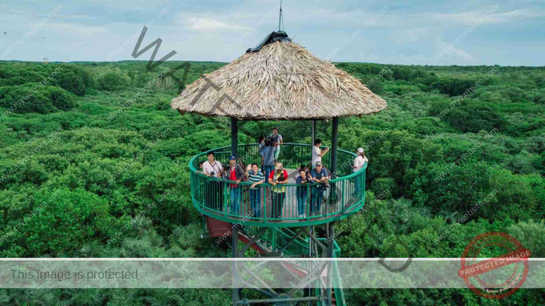 Top 5 Team Building Activities in Saigon – Ho Chi Minh City ...