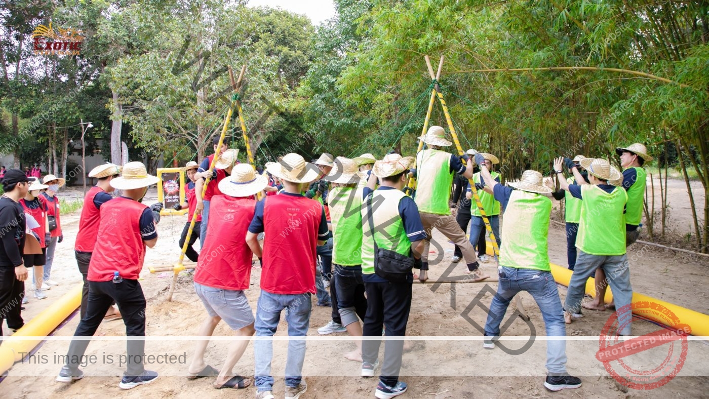 12 lý do doanh nghiệp nên tổ chức team building