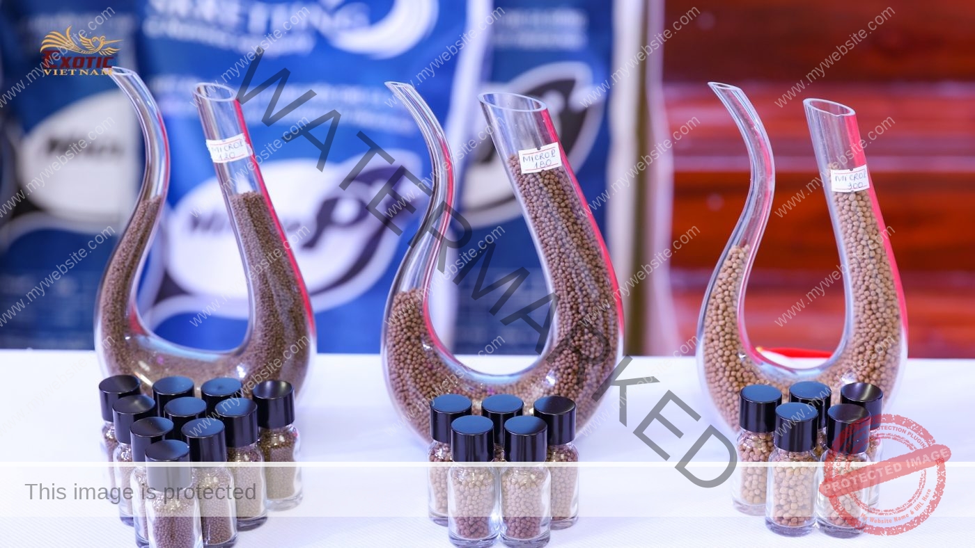 Corporate Events in Vietnam