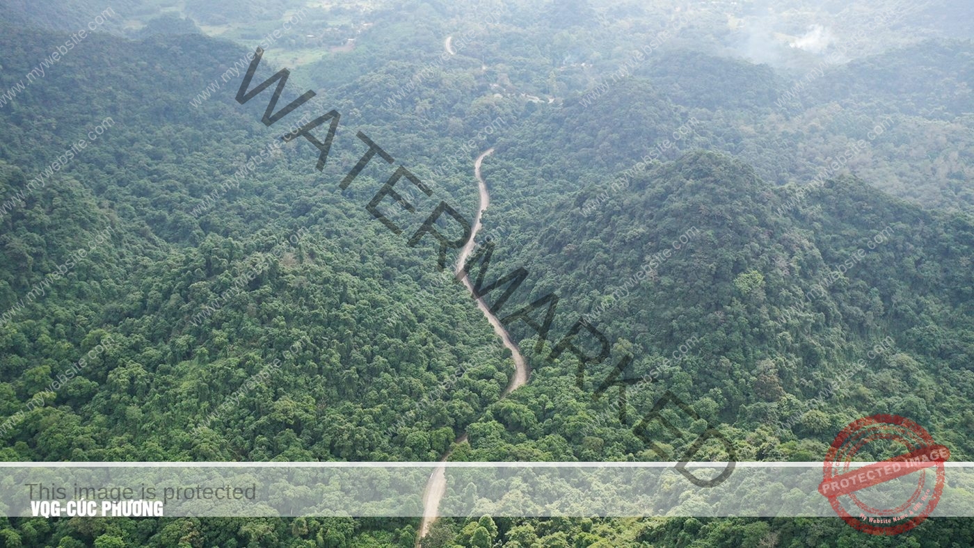 Team Building in Vietnam’s National Parks