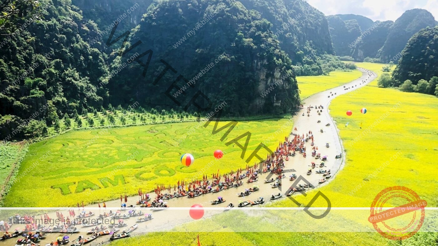 Team Building in Ninh Binh