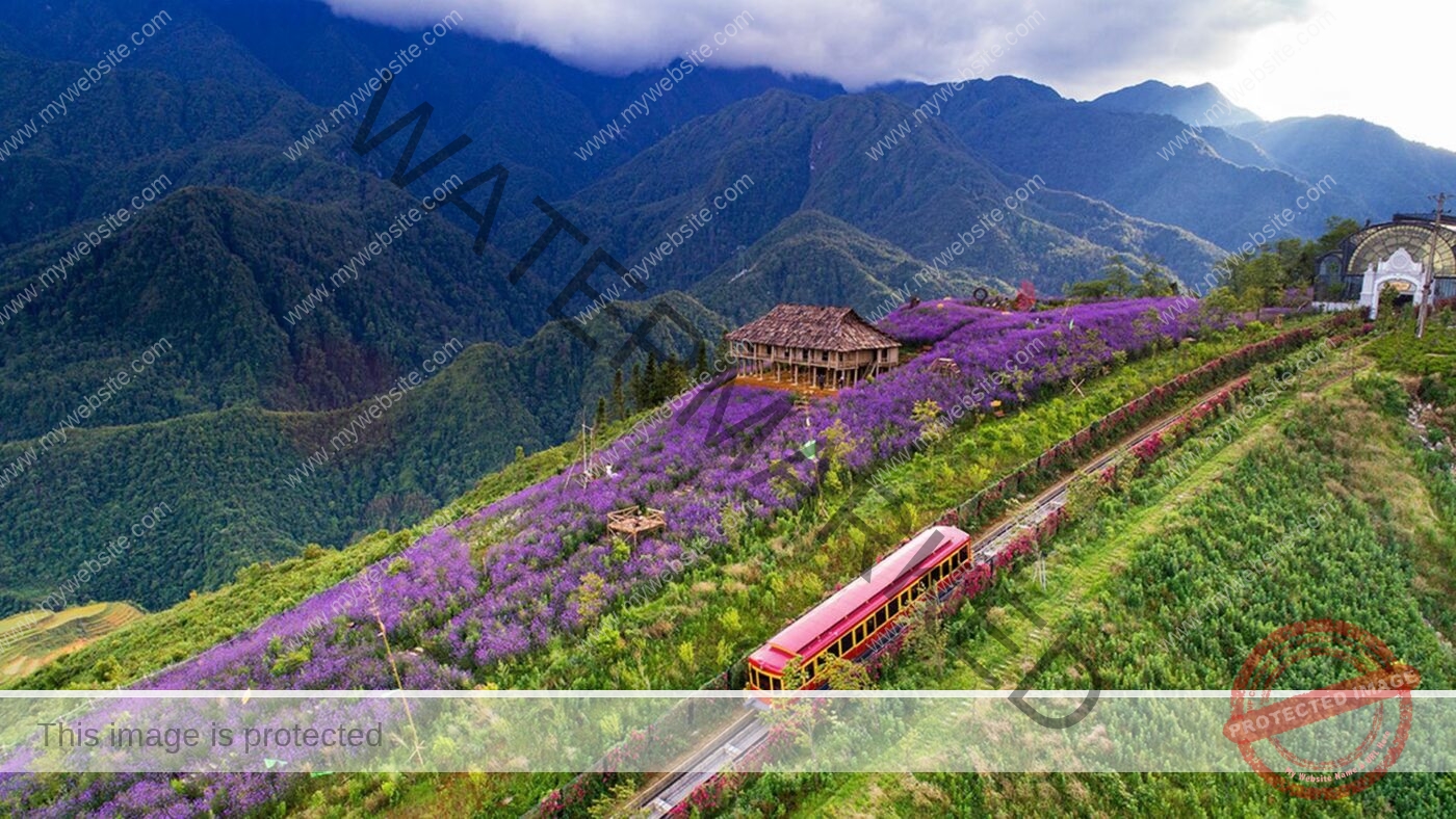 Team Building tại Sapa