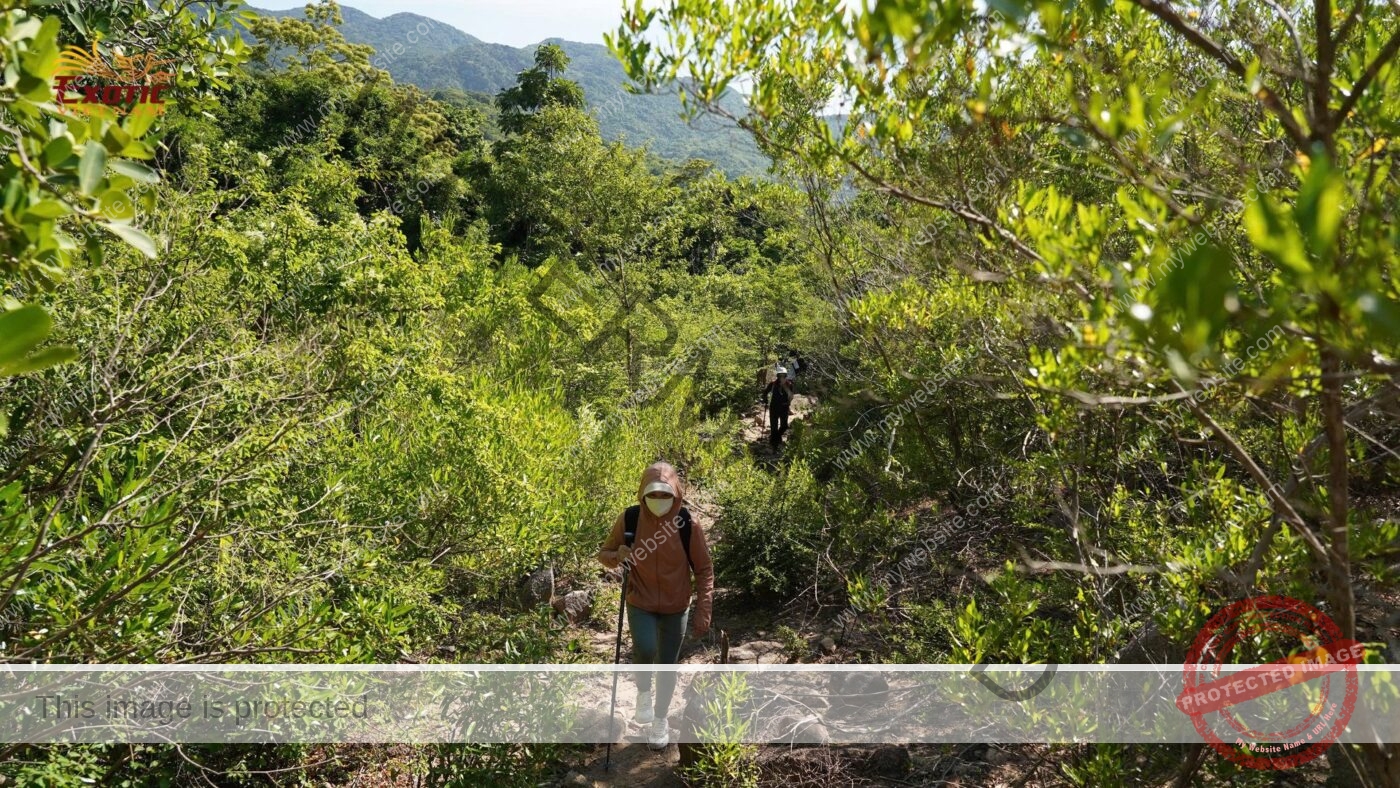 Team Building tại Phan Rang