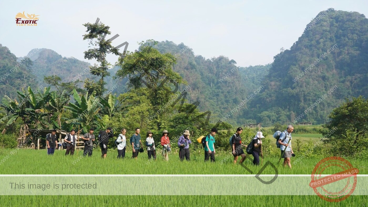 Team Building tại Việt Nam