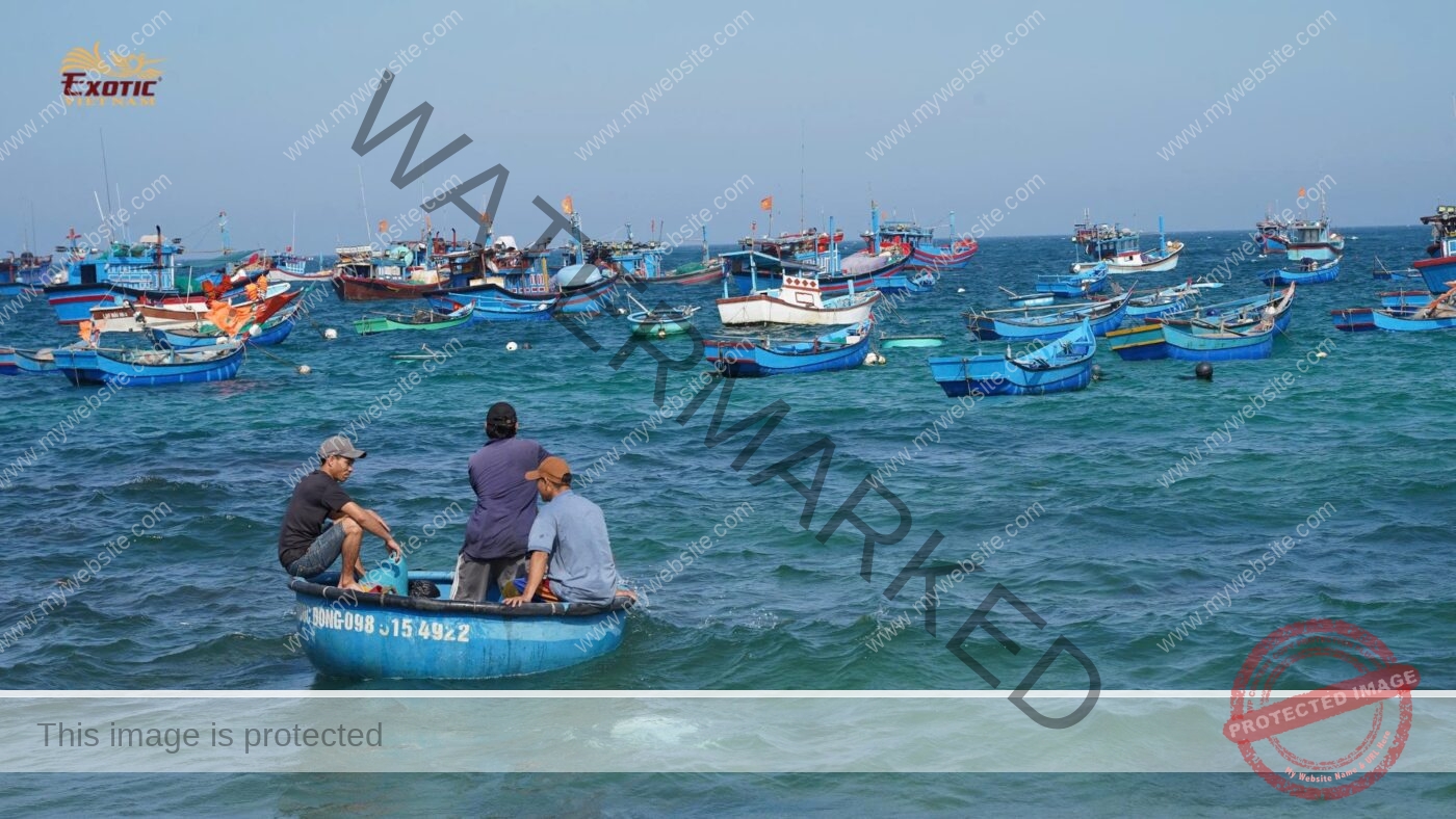 Team Building Phú Yên Đắk Lắk