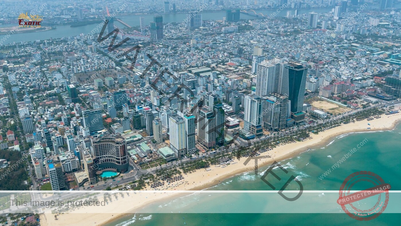 Mice in Danang