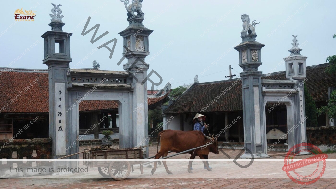 Team building in Hanoi – The Amazing Race at Duong Lam Ancient Village
