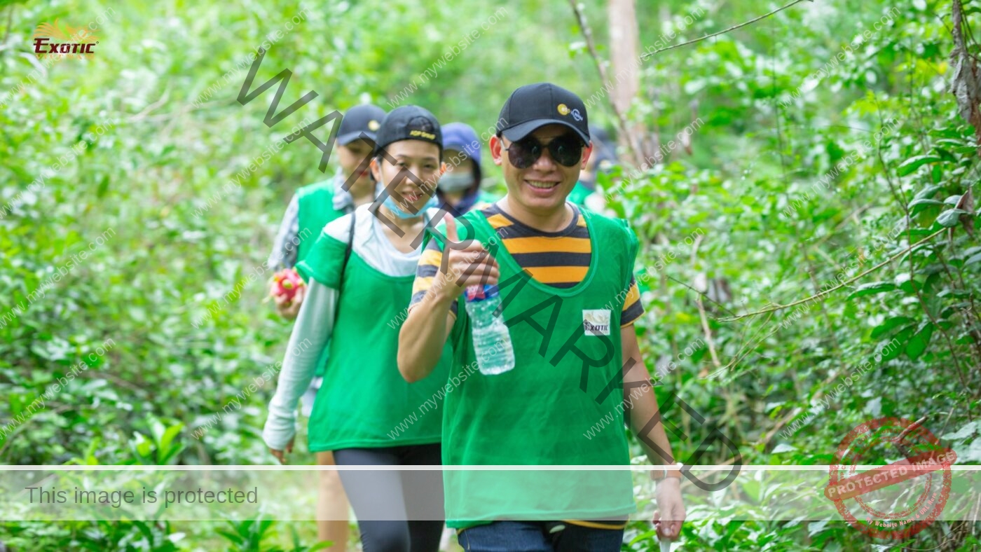 Team building tại Việt Nam