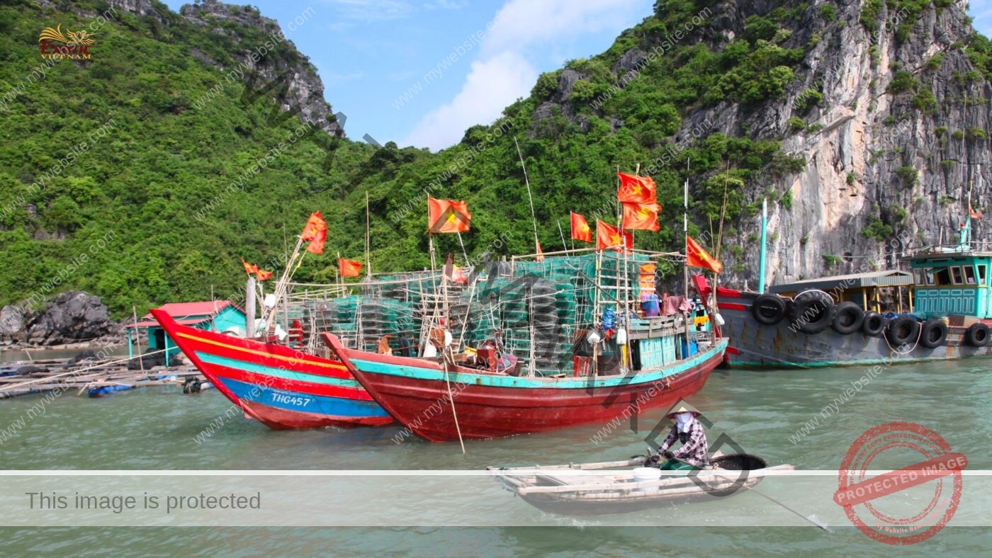 Team building Việt Nam