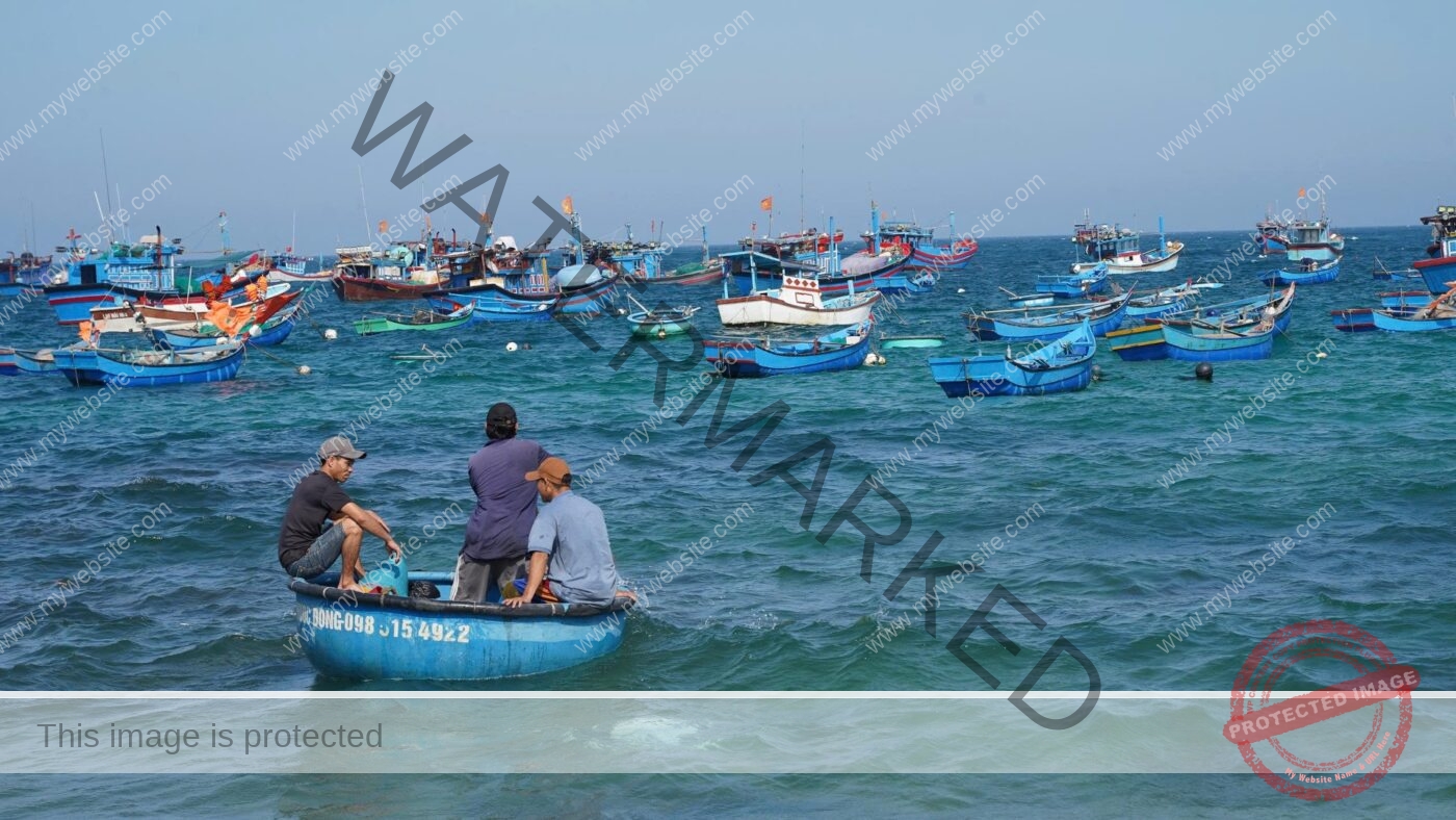 Team Building in Phu Yen