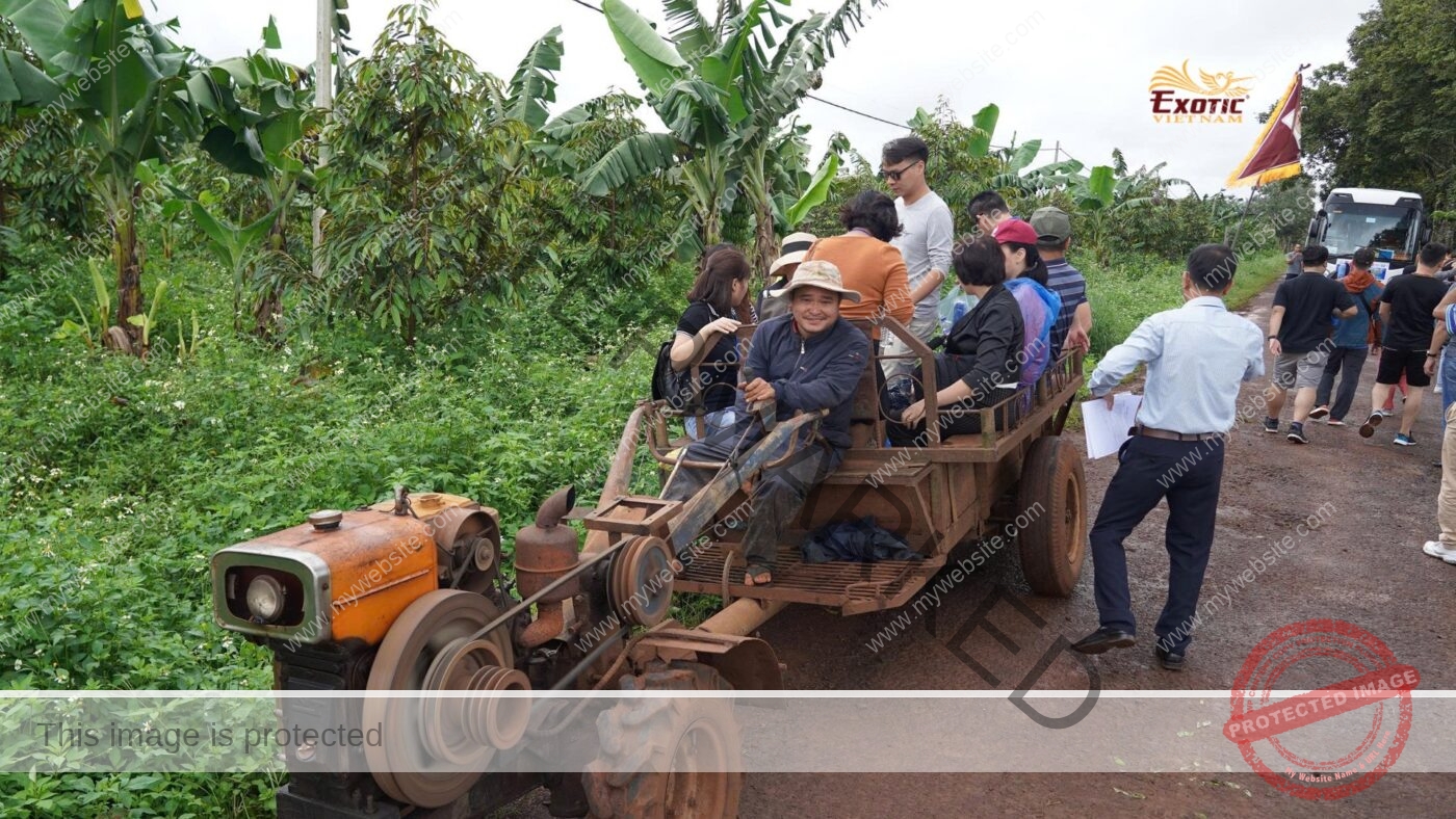 Team building Nông nghiệp tại Viện Ea Kmat