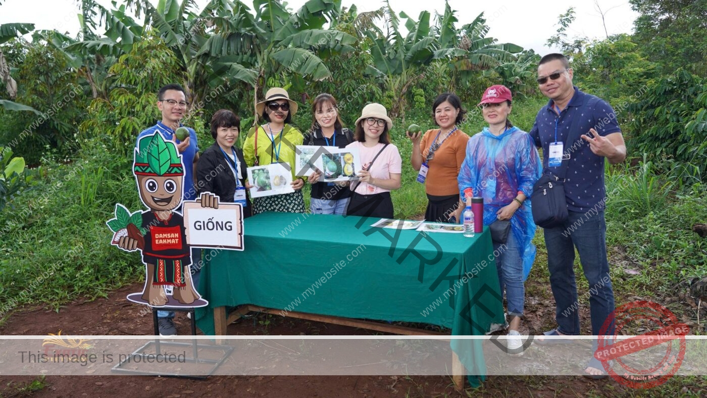 Agricultural Team Building