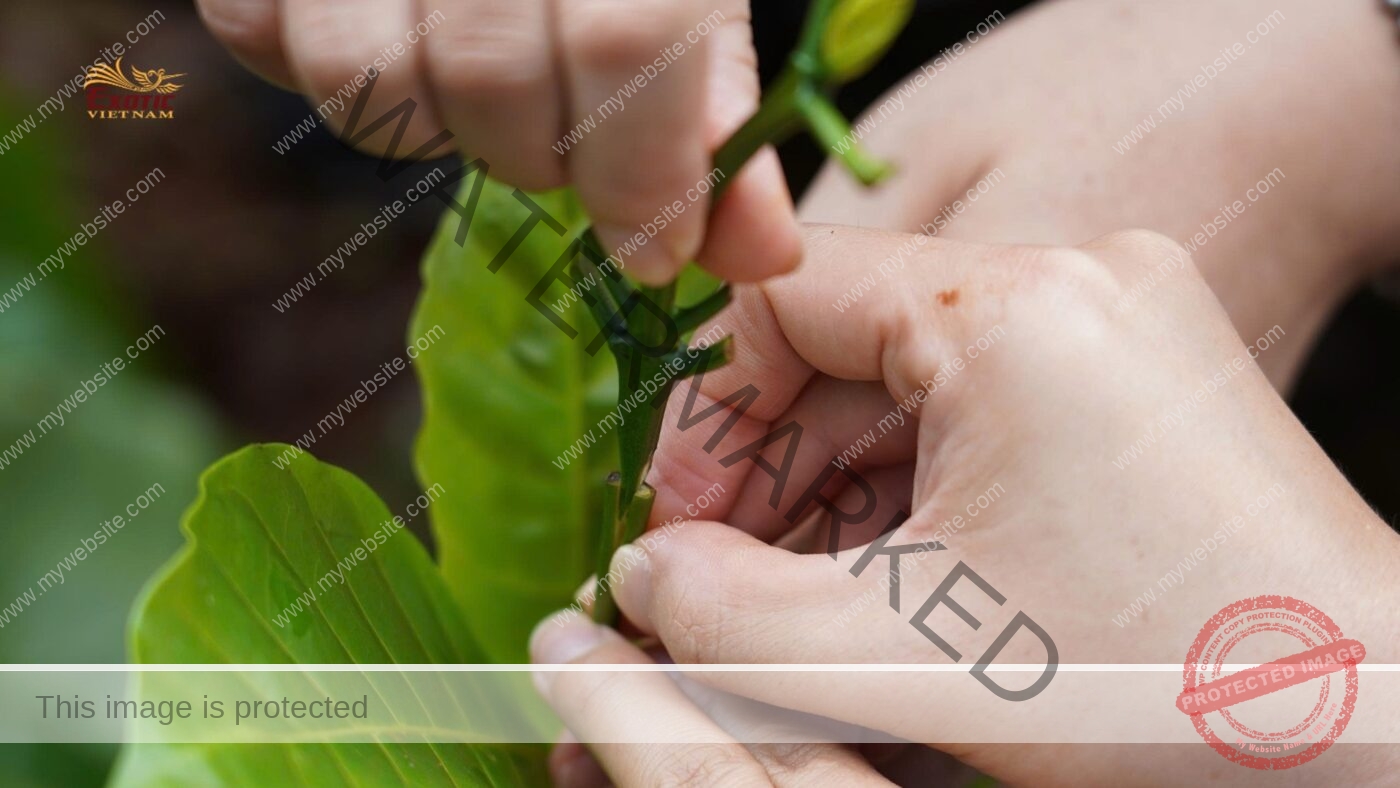 Team building Nông nghiệp tại Viện Ea Kmat
