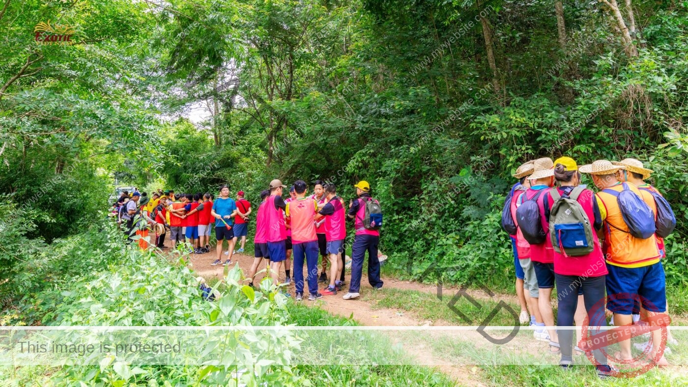 Team Building Doanh nghiệp