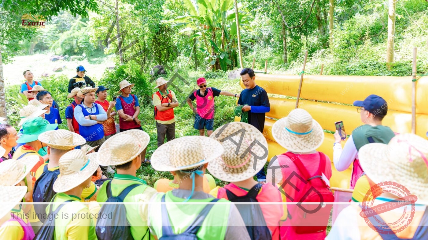 Team Building Doanh nghiệp