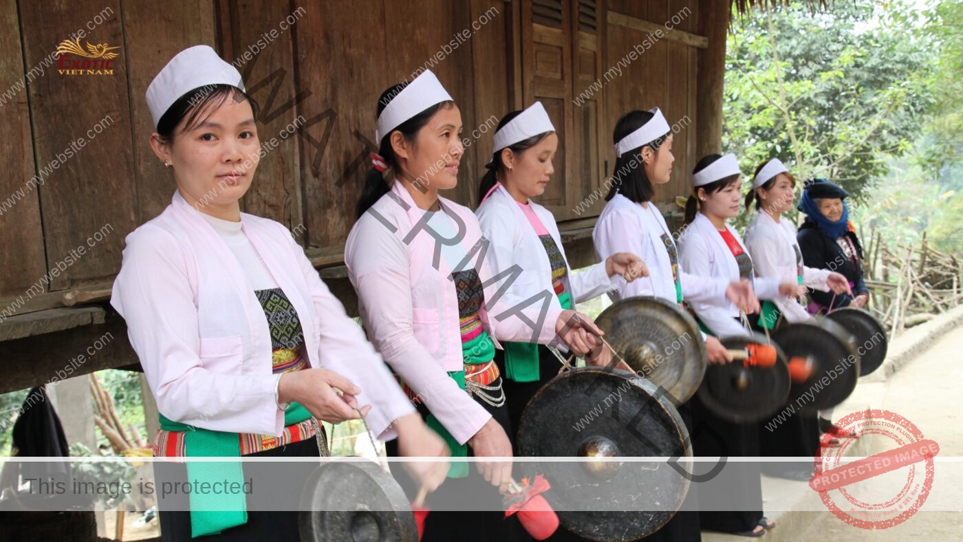 Tổ chức biểu diễn văn hóa cộng đồng